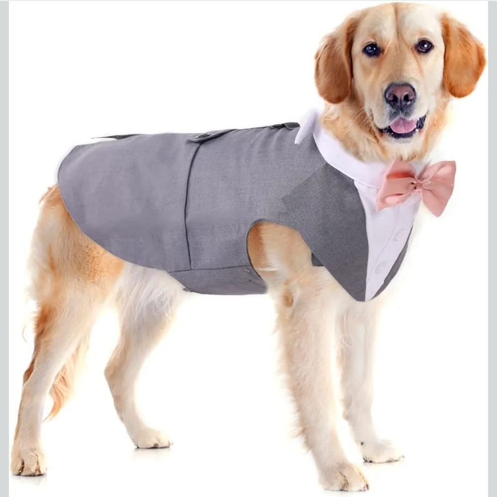 Gray Dog Tuxedo with Pink Bow Tie